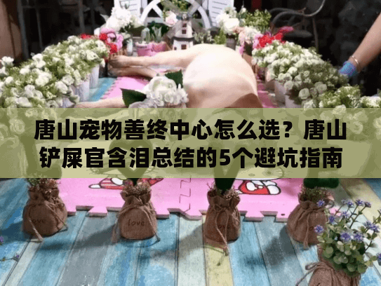 唐山宠物善终中心怎么选?唐山铲屎官含泪总结的5个避坑指南 唐山宠物善终中心怎么选?唐山铲屎官含泪总结的5个避坑指南