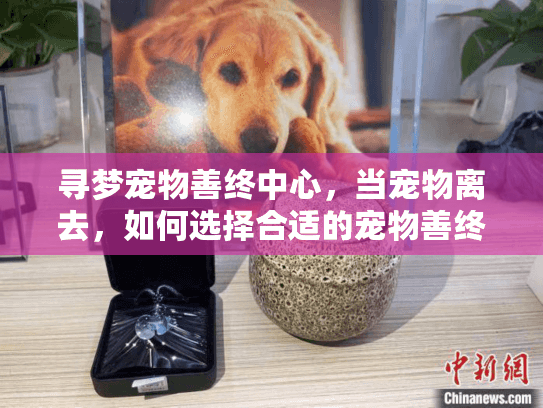 寻梦宠物善终中心，当宠物离去，如何选择合适的宠物善终服务？