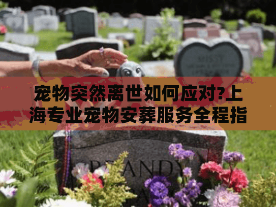 宠物突然离世如何应对?上海专业宠物安葬服务全程指南