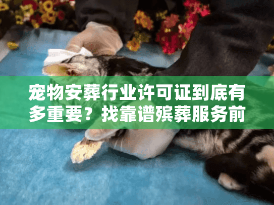 宠物安葬行业许可证到底有多重要？找靠谱殡葬服务前一定要搞懂的3个关键