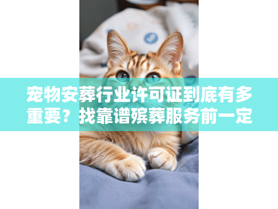 宠物安葬行业许可证到底有多重要？找靠谱殡葬服务前一定要搞懂的3个关键