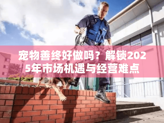 宠物善终好做吗？解锁2025年市场机遇与经营难点