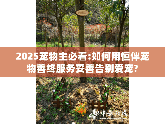 2025宠物主必看:如何用恒伴宠物善终服务妥善告别爱宠?