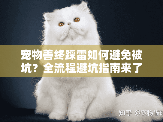 宠物善终踩雷如何避免被坑？全流程避坑指南来了