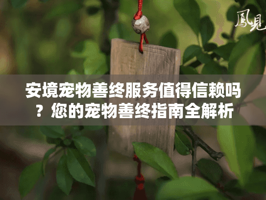 安境宠物善终服务值得信赖吗？您的宠物善终指南全解析
