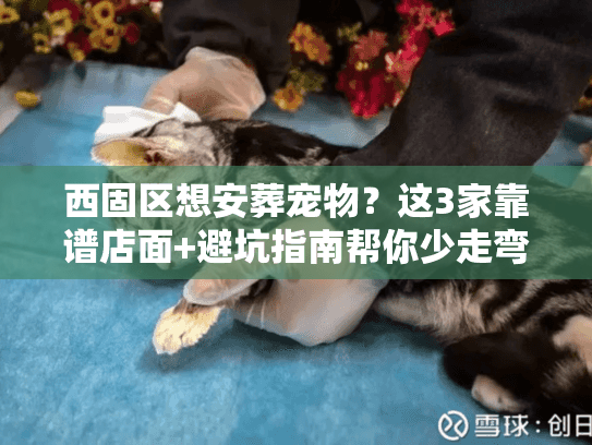 西固区想安葬宠物？这3家靠谱店面+避坑指南帮你少走弯路