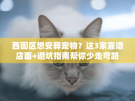 西固区想安葬宠物？这3家靠谱店面+避坑指南帮你少走弯路