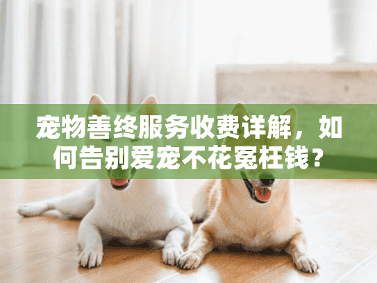 宠物善终服务收费详解，如何告别爱宠不花冤枉钱？