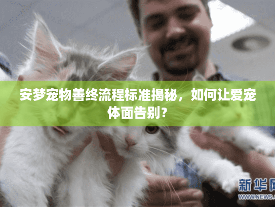 安梦宠物善终流程标准揭秘，如何让爱宠体面告别？