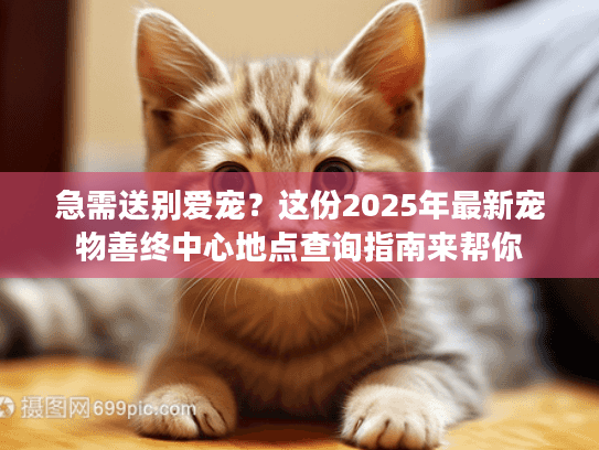 急需送别爱宠？这份2025年最新宠物善终中心地点查询指南来帮你