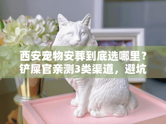 西安宠物安葬到底选哪里？铲屎官亲测3类渠道，避坑指南全在这