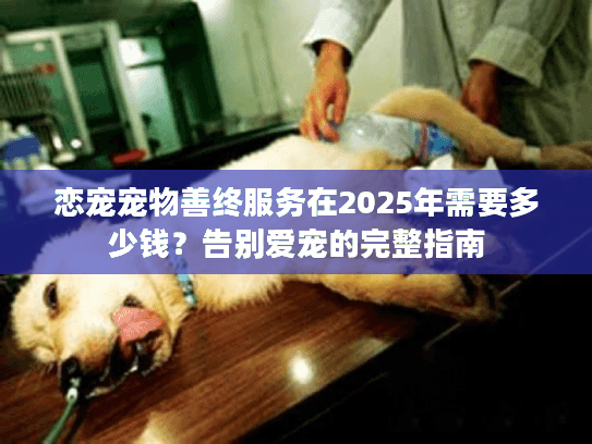 恋宠宠物善终服务在2025年需要多少钱？告别爱宠的完整指南