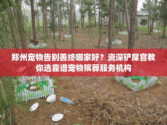 郑州宠物告别善终哪家好？资深铲屎官教你选靠谱宠物殡葬服务机构