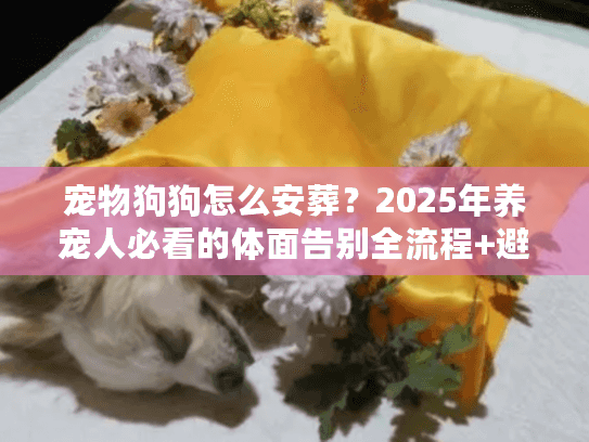 宠物狗狗怎么安葬？2025年养宠人必看的体面告别全流程+避坑技巧