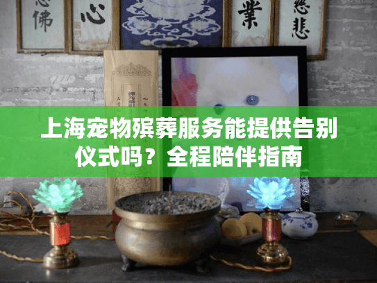 上海宠物殡葬服务能提供告别仪式吗？全程陪伴指南