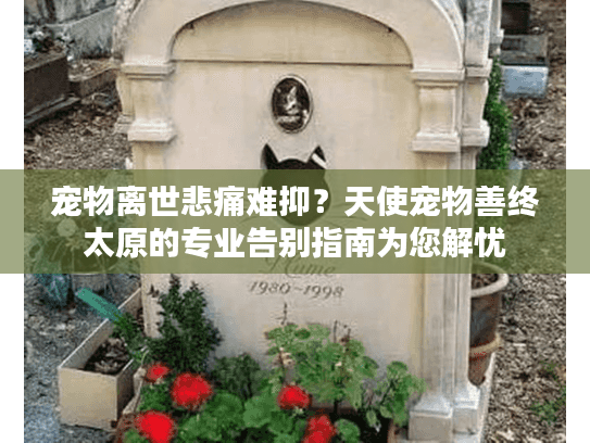 宠物离世悲痛难抑？天使宠物善终太原的专业告别指南为您解忧