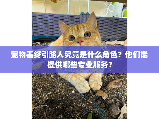 宠物善终引路人究竟是什么角色？他们能提供哪些专业服务？
