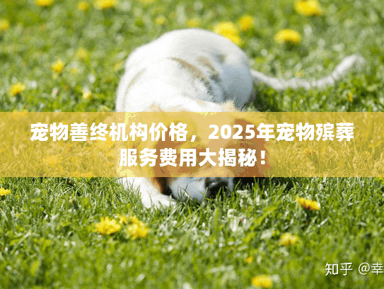 宠物善终机构价格，2025年宠物殡葬服务费用大揭秘！