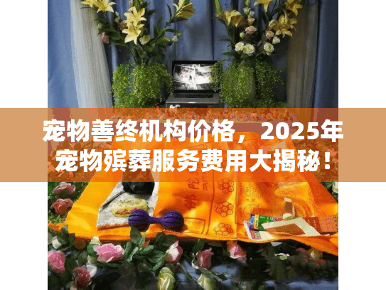 宠物善终机构价格，2025年宠物殡葬服务费用大揭秘！
