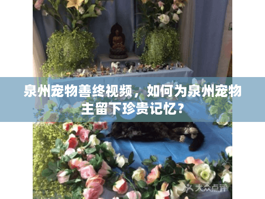 泉州宠物善终视频，如何为泉州宠物主留下珍贵记忆？