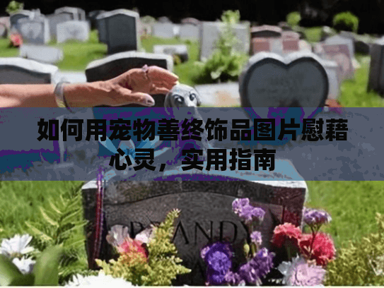 如何用宠物善终饰品图片慰藉心灵，实用指南