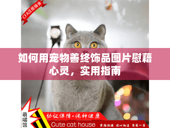 如何用宠物善终饰品图片慰藉心灵，实用指南