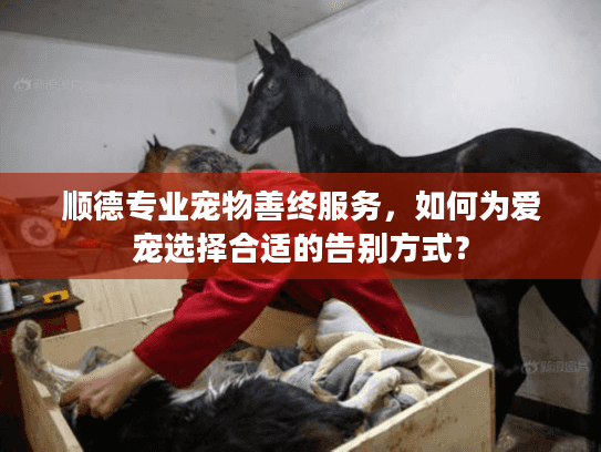顺德专业宠物善终服务，如何为爱宠选择合适的告别方式？