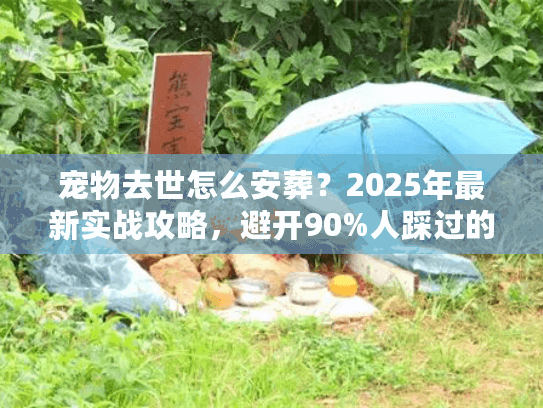 宠物去世怎么安葬？2025年最新实战攻略，避开90%人踩过的殡葬服务坑