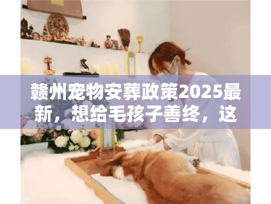 赣州宠物安葬政策2025最新，想给毛孩子善终，这5个红线千万不能碰？
