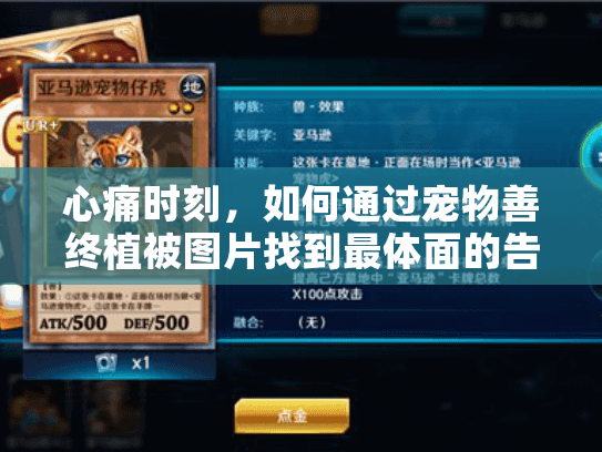 心痛时刻，如何通过宠物善终植被图片找到最体面的告别方式?