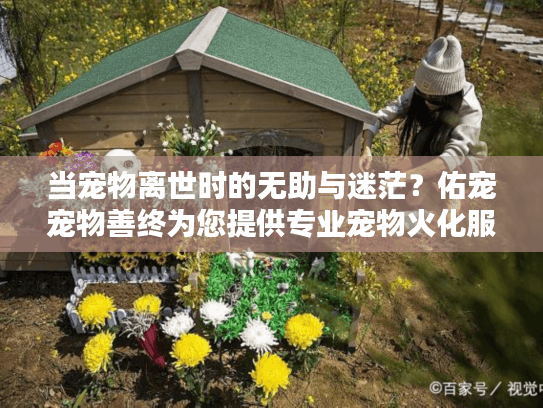 当宠物离世时的无助与迷茫？佑宠宠物善终为您提供专业宠物火化服务