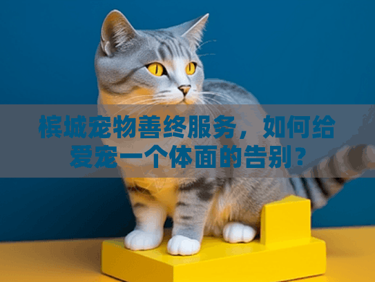 槟城宠物善终服务，如何给爱宠一个体面的告别？