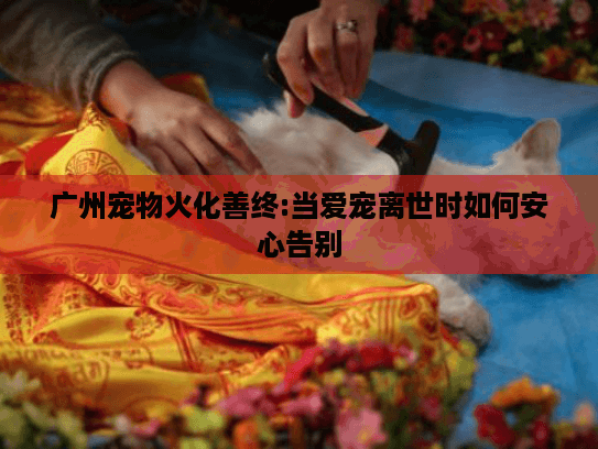 广州宠物火化善终:当爱宠离世时如何安心告别