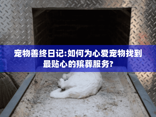 宠物善终日记:如何为心爱宠物找到最贴心的殡葬服务?