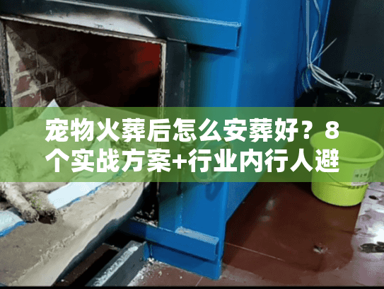 宠物火葬后怎么安葬好？8个实战方案+行业内行人避坑提醒