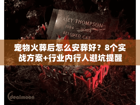 宠物火葬后怎么安葬好？8个实战方案+行业内行人避坑提醒