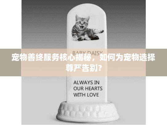 宠物善终服务核心揭秘，如何为宠物选择尊严告别？
