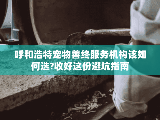 呼和浩特宠物善终服务机构该如何选?收好这份避坑指南