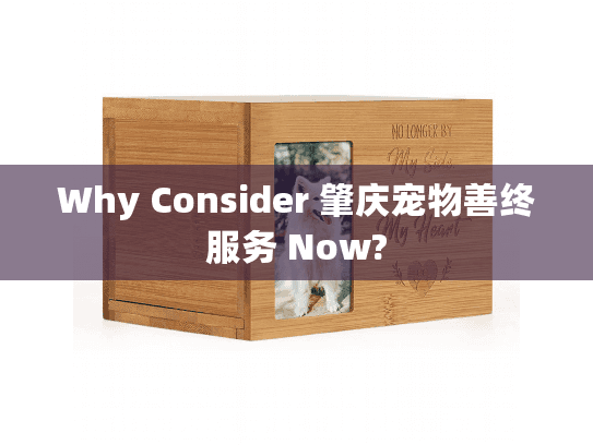 Why Consider 肇庆宠物善终服务 Now?