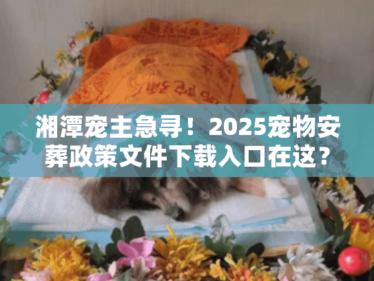 湘潭宠主急寻！2025宠物安葬政策文件下载入口在这？3个殡葬坑别等踩了才后悔