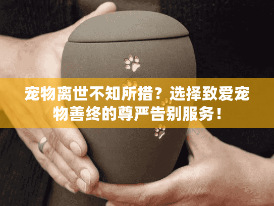 宠物离世不知所措？选择致爱宠物善终的尊严告别服务！