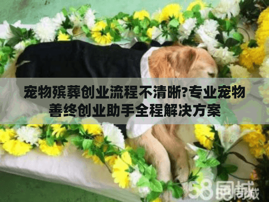 宠物殡葬创业流程不清晰?专业宠物善终创业助手全程解决方案