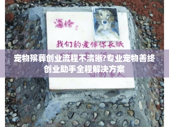宠物殡葬创业流程不清晰?专业宠物善终创业助手全程解决方案
