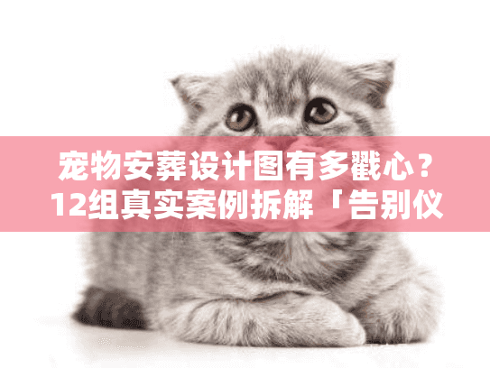 宠物安葬设计图有多戳心？12组真实案例拆解「告别仪式」里的情感密码