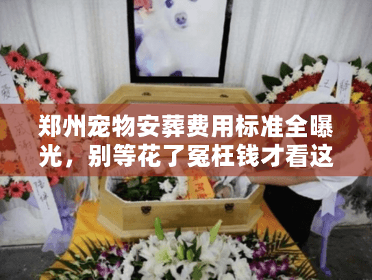 郑州宠物安葬费用标准全曝光，别等花了冤枉钱才看这篇！