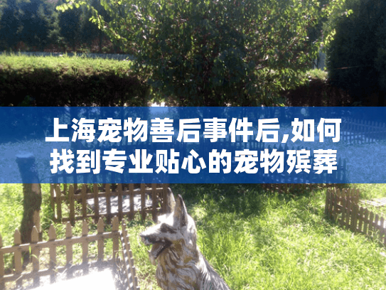 上海宠物善后事件后,如何找到专业贴心的宠物殡葬服务?