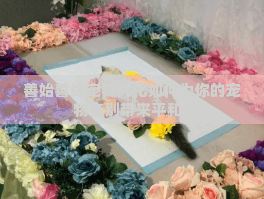 善始善终宠物火化如何为你的宠物告别带来平和？