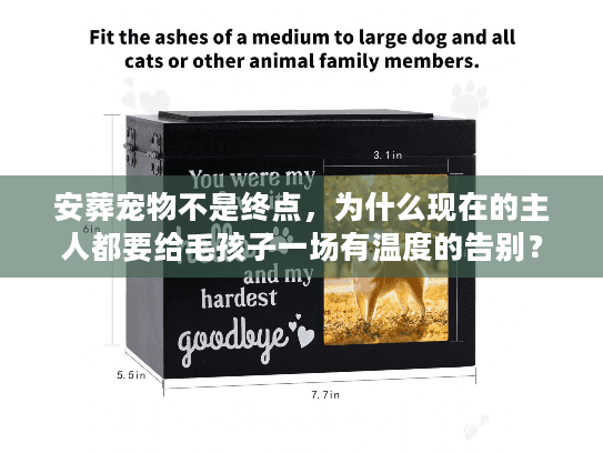 安葬宠物不是终点，为什么现在的主人都要给毛孩子一场有温度的告别？