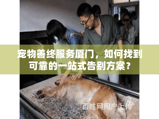 宠物善终服务厦门，如何找到可靠的一站式告别方案？