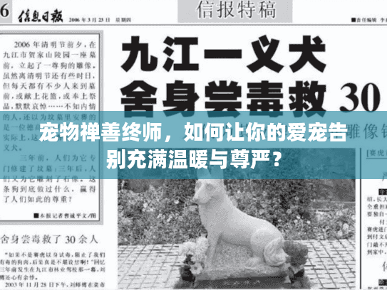 宠物禅善终师，如何让你的爱宠告别充满温暖与尊严？